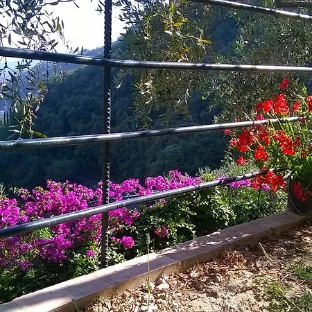 Sopra Il Porto Semesterbostad