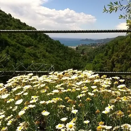 Sopra Il Porto Semesterbostad *