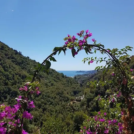 Sopra Il Porto Semesterbostad